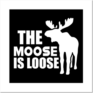 Moose - The Moose is loose w Posters and Art